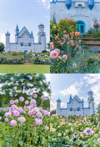 昆明梦橙花园保姆级攻略✨