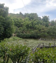 叙永游记图文-川南小镇，遇见不老之潭