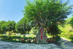 叙永游记图片] 忘年之交，川南之行