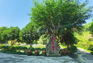 忘年之交,川南之行