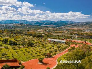 西班牙安达卢西亚秘境:在阿尔玛扎拉橄榄油文化庄园,寻味别样景致