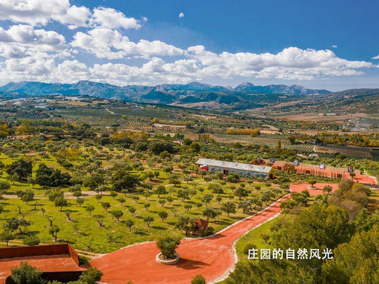 西班牙安达卢西亚秘境:在阿尔玛扎拉橄榄油文化庄园,寻味别样景致