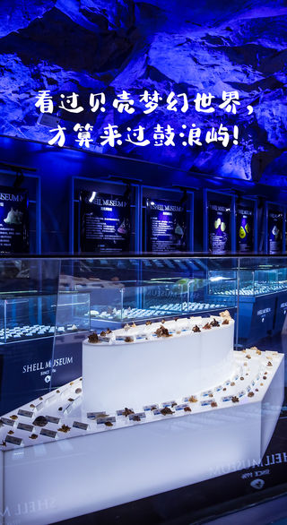 【厦门市贝壳博物馆】置身蓝海与鲸同游