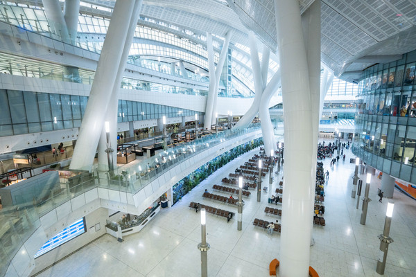 父母都不停夸赞的香港之旅,我是这样安排的!