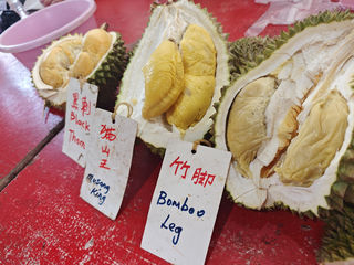 2024年8月，7大2小的9天8晚马来西亚初体验