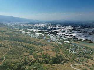 深藏大理深山中最古老百年咖啡园-朱苦拉，村里人以种植咖啡为生