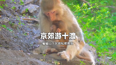 房山风景区游记图片] 京郊游十渡民宿蝙蝠山下私密雅致自炊厨房整洁山景房亮堂-民宿汇