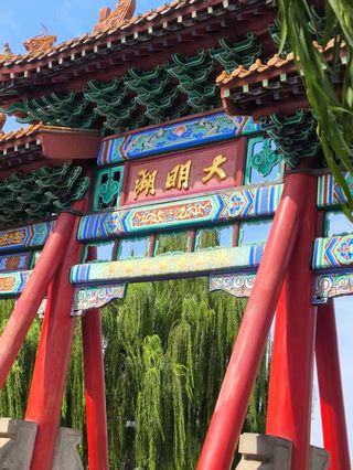 齐鲁七日行：从泉城到海岸的暖心之旅