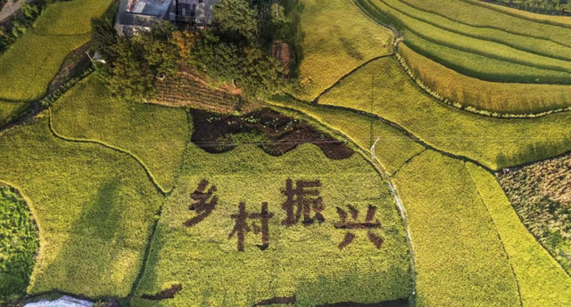 乡游黔中 | 朝门村:奔赴乡野,把向往的田园生活再热爱一遍!