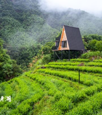 上犹游记图文-拿起这份赣州上犹五日游攻略，去过几天避世的日子
