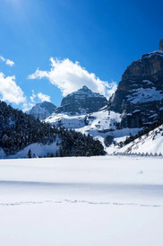 香格里拉巴拉格宗景区游记图片] 新年的第一场雪，巴拉格宗开启仙境模式！