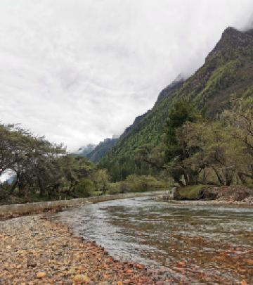 宽窄巷子/中医学院附近地区游记图文-2020防疫时期的旅行：青城山四姑娘山，探古访幽享清闲