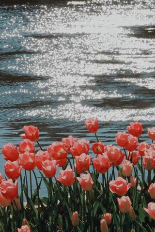 昆明三天两夜旅游景点攻略,带你玩转昆明