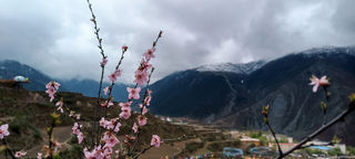 距离兰州4个小时车程,这10个雪藏的打卡景点,美翻了整个夏季!