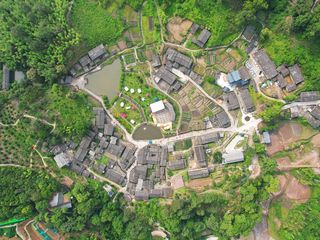 中国黄腹角雉之乡,国内观鸟胜地,明溪旅游正当时