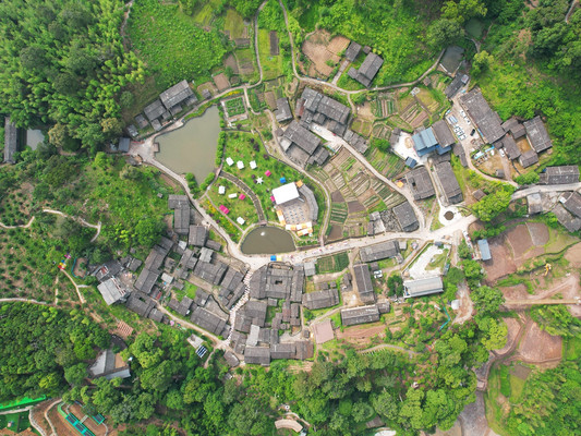 中国黄腹角雉之乡,国内观鸟胜地,明溪旅游正当时