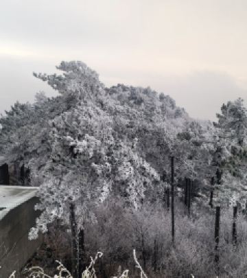 临安城区/青山湖度假区游记图文-杭州临安四大雪山赏雪攻略