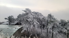 临安城区/青山湖度假区游记图片] 杭州临安四大雪山赏雪攻略