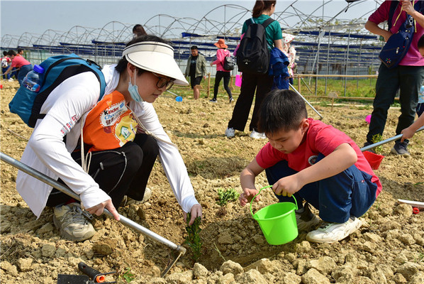 广东班级研学正在兴起,家长们说这是真正的研学孩子能够学到知识