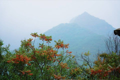 门头沟/潭柘寺/妙峰山风景区游记图片] 国庆赏秋 京西门头沟来一场与慢生活的邂逅