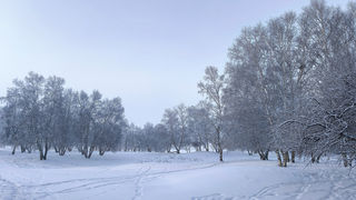 有一种思和远方叫塞北雪乡乌兰布统