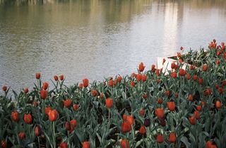 一个人的滇西漫游:昆明、大理、丽江4日自由行记