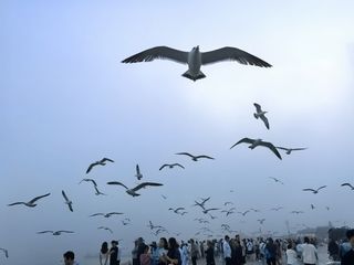 在大连看风景 和闺蜜吹海风的日子