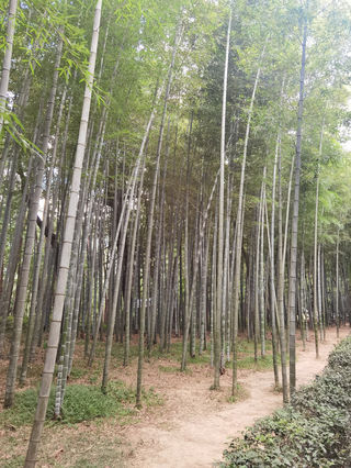 桐庐暑期亲子游：山水与欢笑的完美收尾