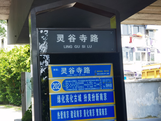 南京哪有人少车少景美的梧桐大道?看我推荐