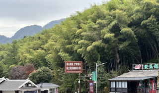 人间仙境,奇峰异石-张家界旅游度假攻略