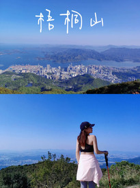 罗湖体育馆/梧桐山风景区游记图片] 🌳 深圳梧桐山：探索自然的绿色世界 🏞️