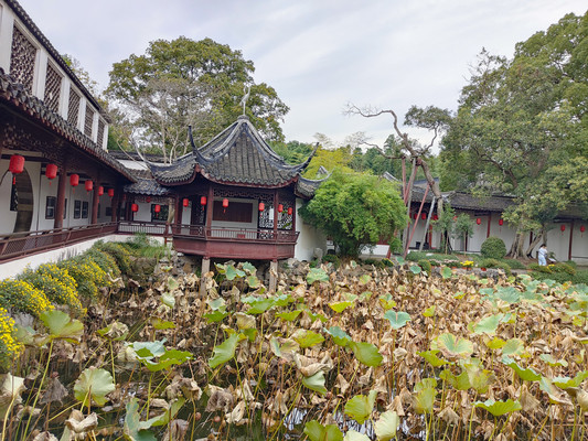 醉白池，上海最古老的园林（2）——上海3日（2）
