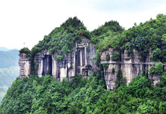 绥阳游记图片] 乡游黔中· 绥阳县 大溪村丨早春来临，茶山已醒
