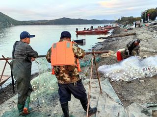 云游四海（1850）东北边境行之二十九：饶河