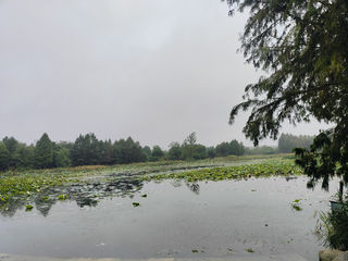 星溪公园，漫步铁轨下的生态长廊