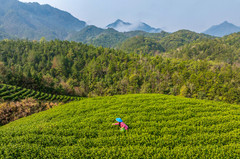 靖安游记图片] 解锁宜春99%游客不知道的春日秘境（3天2夜自驾攻略）