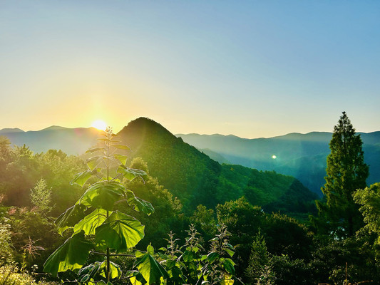 近看竹海远观茶山,湖岸尝鲜小镇闲逛-从安吉到湖州之旅