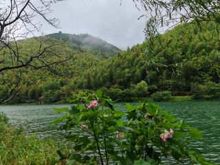 浓雾如烟竹林如海-溧阳两日游