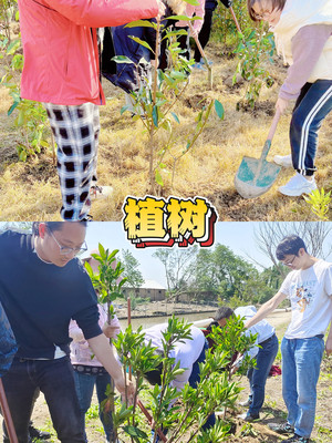 上海春季团建必备!长兴岛植树+低碳骑行,一天玩转绿色之旅