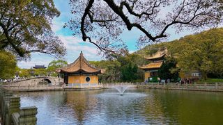 普陀山亲测，网上那些都是千篇一律，求子亲测