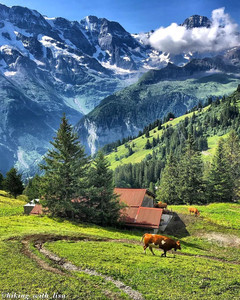 米伦游记图文-住艾格峰瑞士品质酒店，赏米伦最美春光！