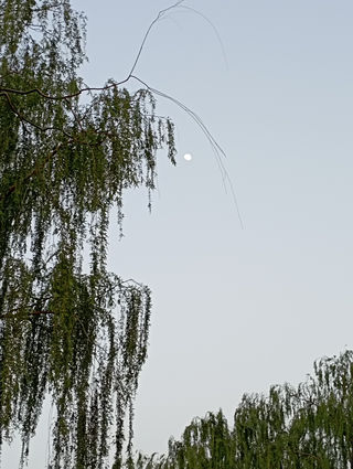 北京五一错峰游