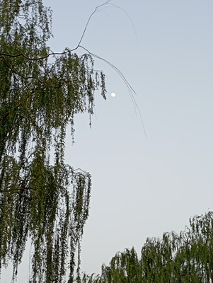 北京五一错峰游
