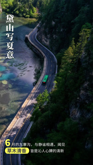 黛山蘸露晒夏意!九寨沟六月被草香腌成薄荷绿啦