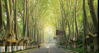 南京旅游这么选就对了