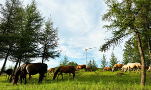 御道口草原森林风景区游记图文-塞罕坝3天2晚超省心的实用笔记