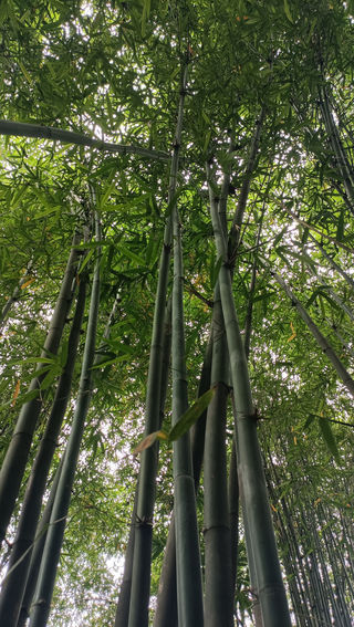 遇见川渝 ---火辣重庆 巴适成都