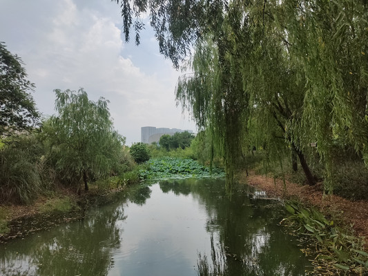 长广溪，西边阴云东边雨