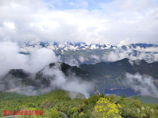 吾乐行的世界——行走于重庆的花花世界