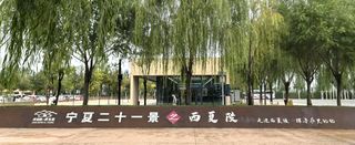 宁夏游记-西夏王陵、首府银川